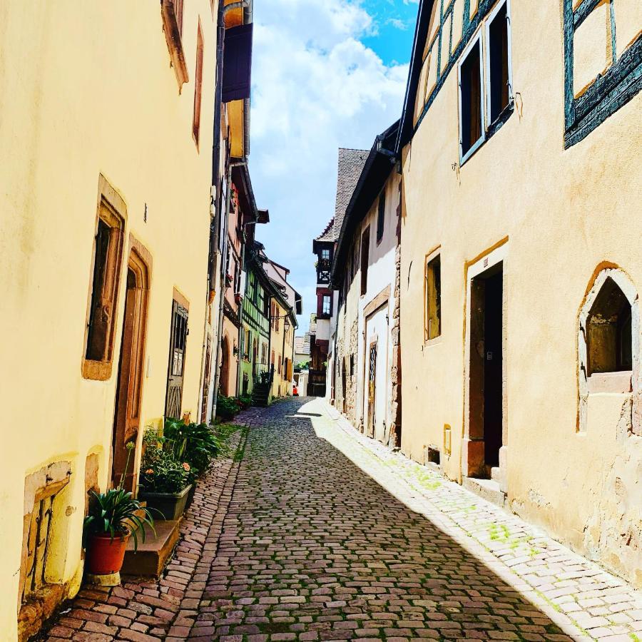 La Ruelle Alsacienne, Charme Alsacien Et Confort Moderne Riquewihr Exteriör bild